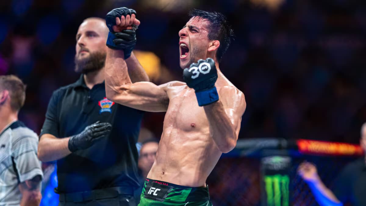 Steve Erceg's Journey: From Australian Sports to UFC Stardom