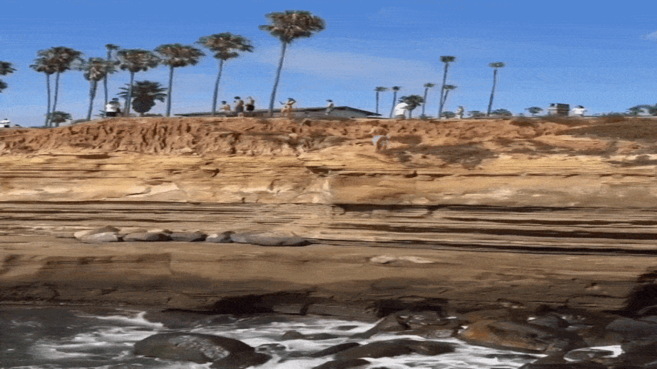 teen s cliff jump in san diego