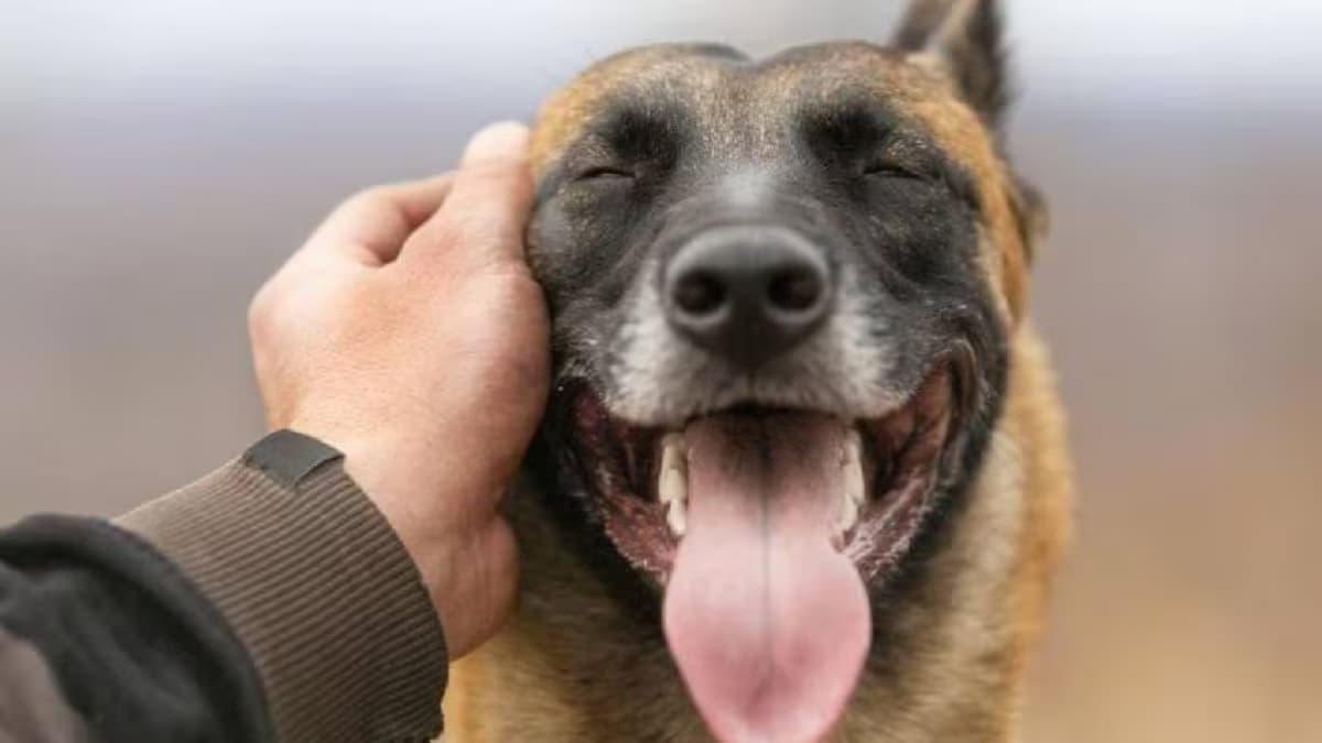 karnataka police dog leads to