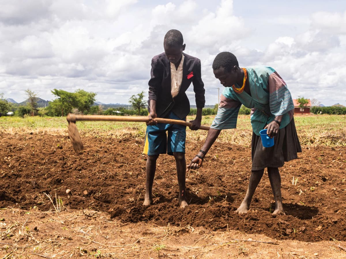 Uganda Faces Severe Food Crisis Amid Drought Challenges
