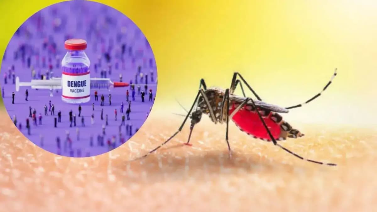 Dengue Virus Strains Spread Across Eight Indian States, ICMR Warns