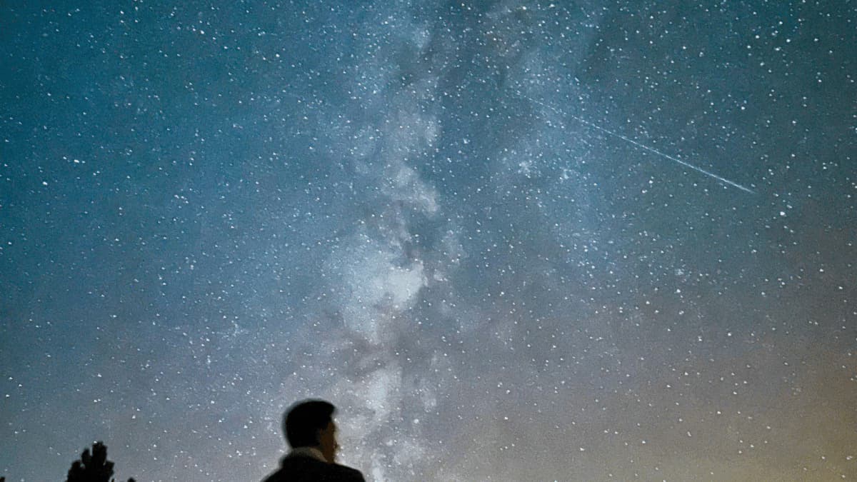 Double Meteor Shower Peaks Tonight: Viewing Tips and Timing