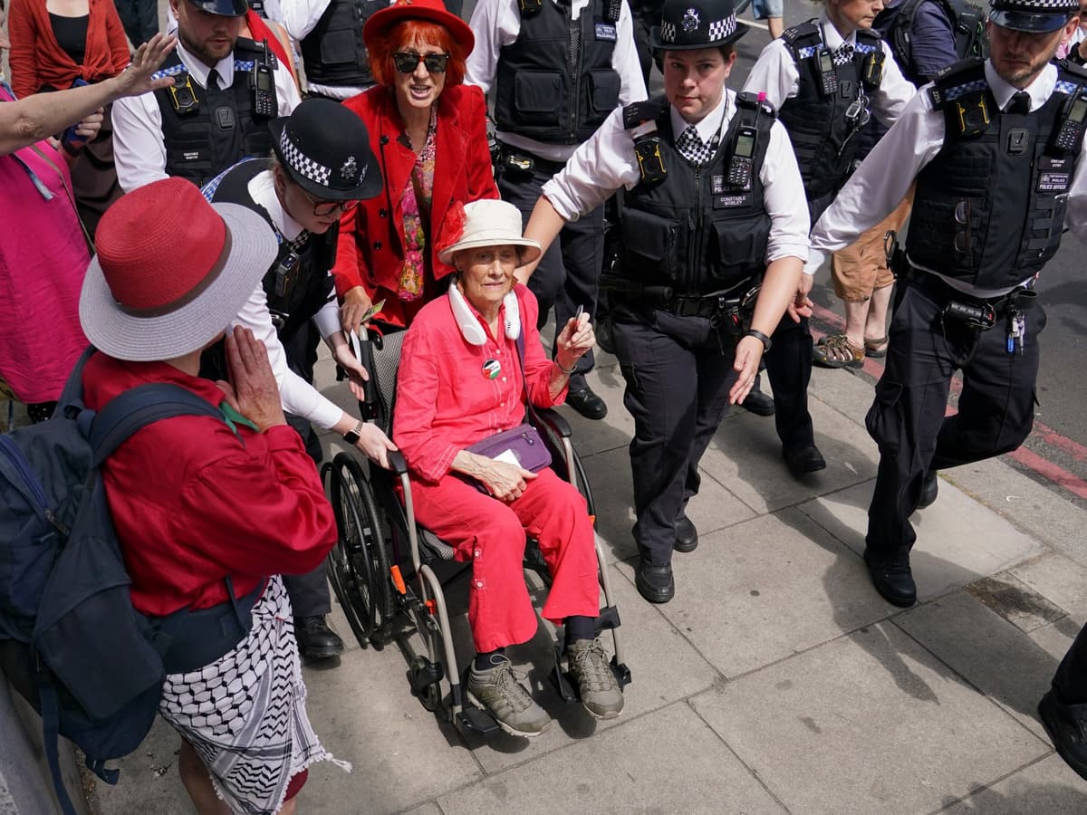 Dozens Arrested at London Rally Supporting Palestine Action