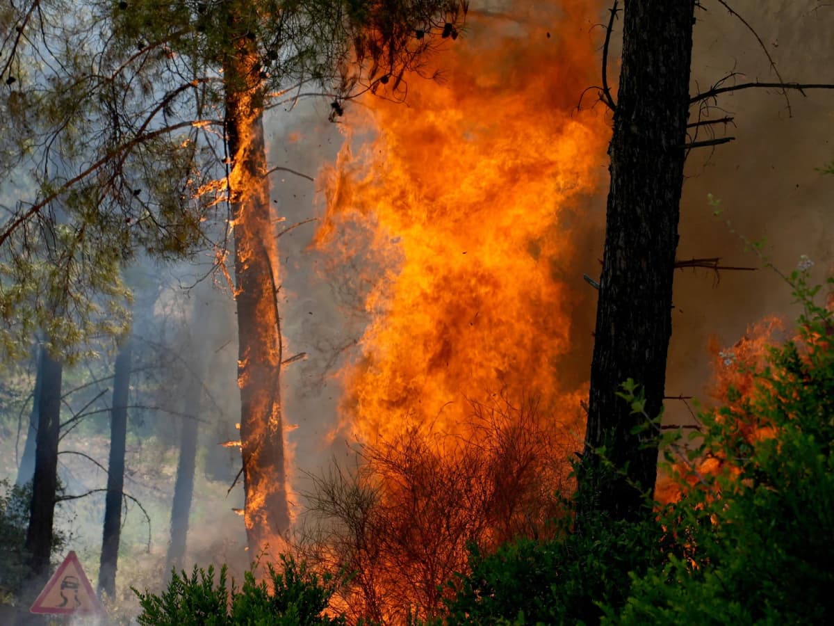 Climate Change Fuels Intensified Wildfires Across Southern Europe