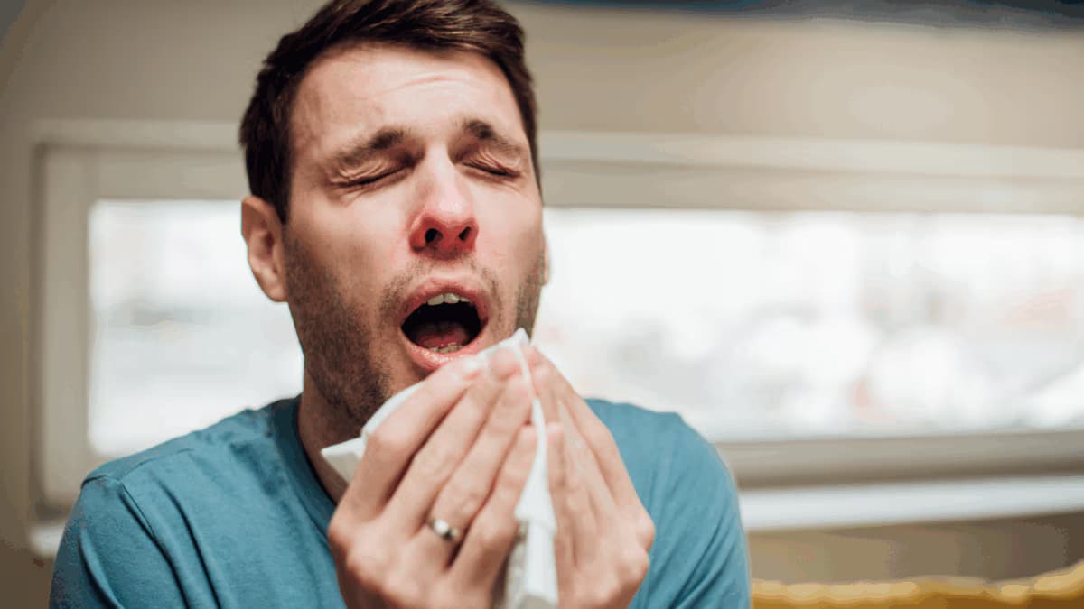 Monsoon Health Tips: Preventing Colds, Coughs, and Allergies