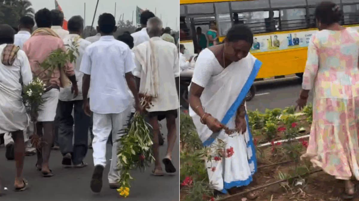 controversy erupts over plant