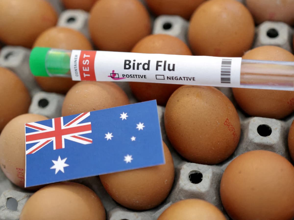 australia issues warning as h5