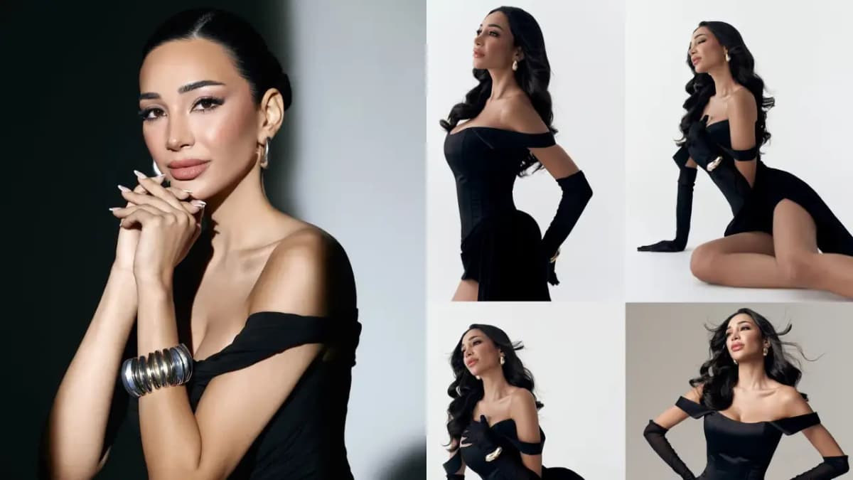 alizey mirza the secrets behi
