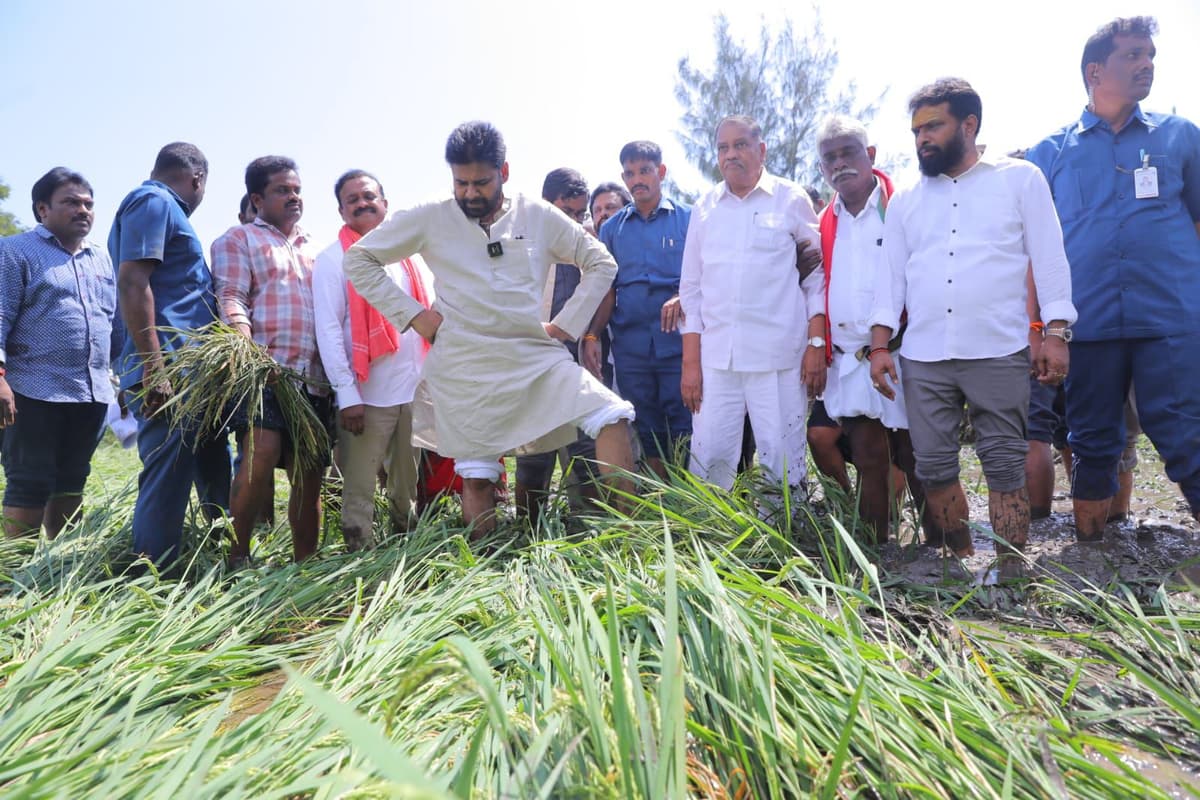 Ap Deputy Cm Pawan Kalyan Visits Cyclone Hit Farms At Avanigadda