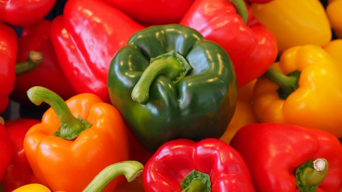 Many Health Benefits Of Eating Capsicum