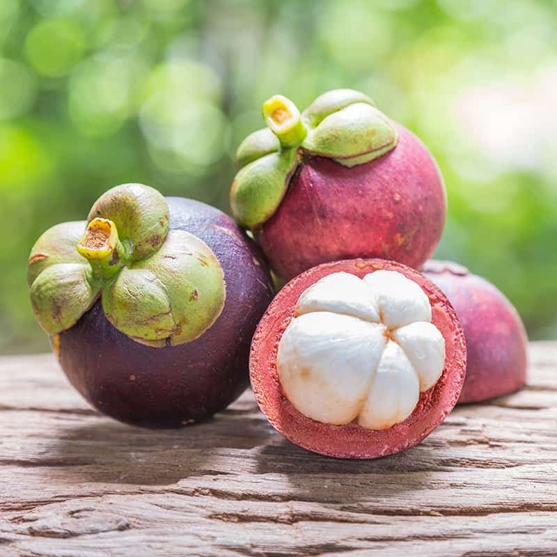 Mangosteen Fruit Benefits