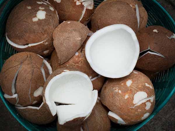 Raw Coconut Benefits