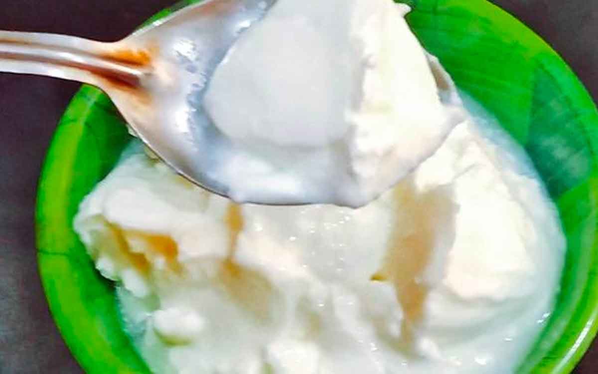 Curd Health Benefits