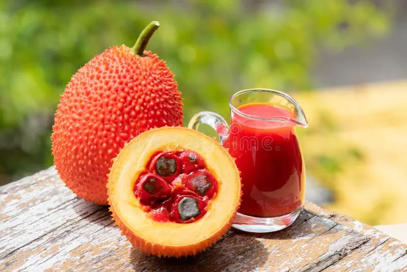 Gac Fruit Benefits