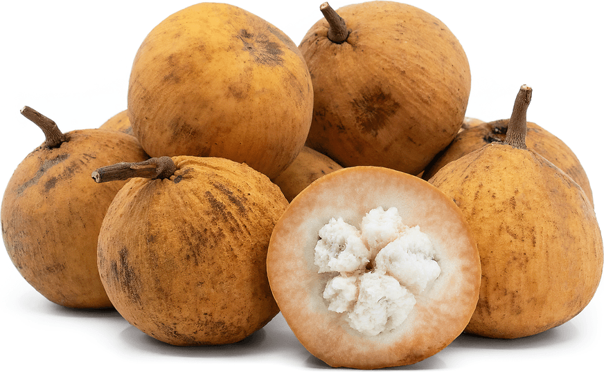 Santol Fruit Health Benefits