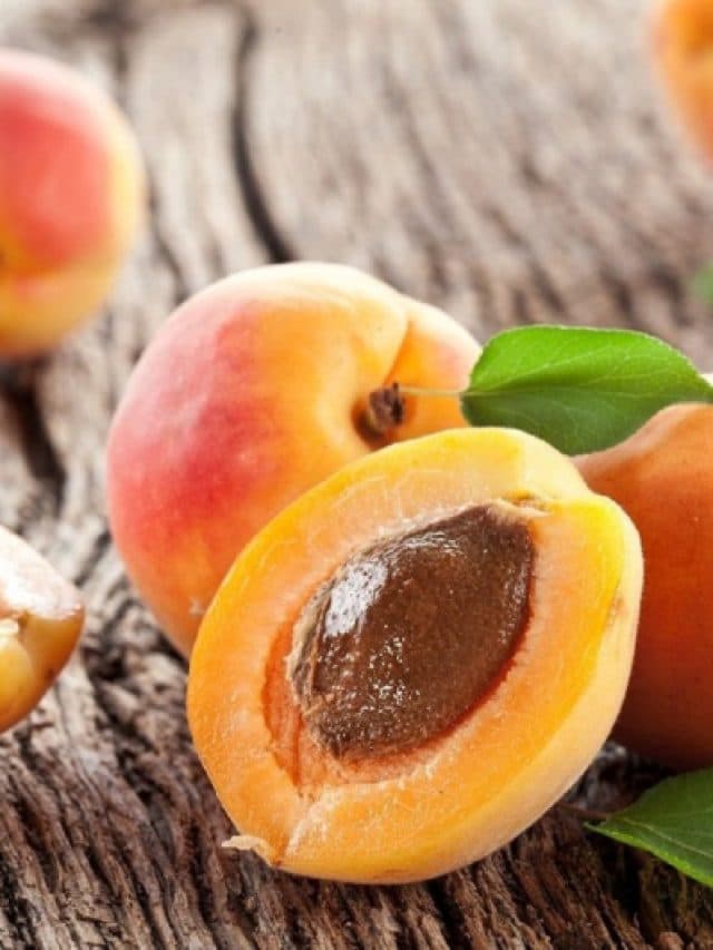 Apricot Fruit Benefits