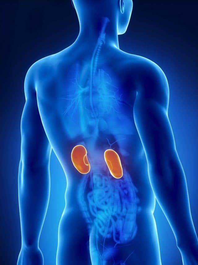 Kidney Failure
