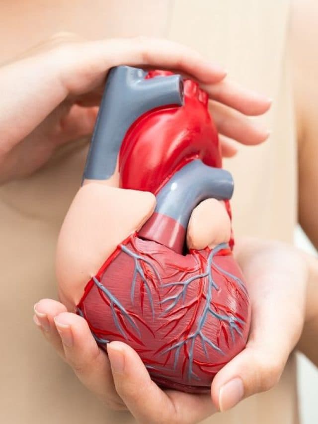 Heart Attack Prevention